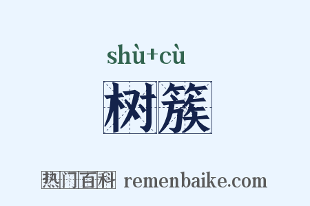 树簇是什么意思的图片